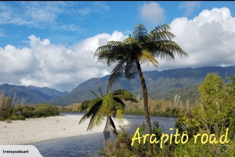Photo of property in 242 Arapito Road, Karamea, 7893