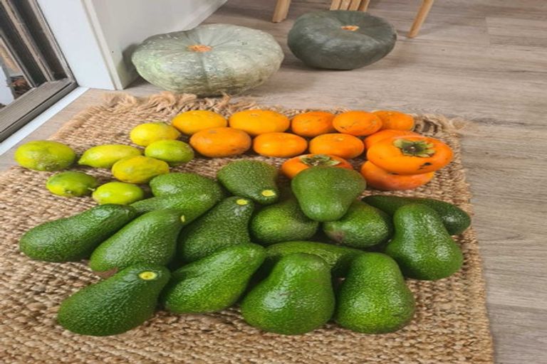 Photo of property in 18 Glengarry Avenue, Manly, Whangaparaoa, 0930