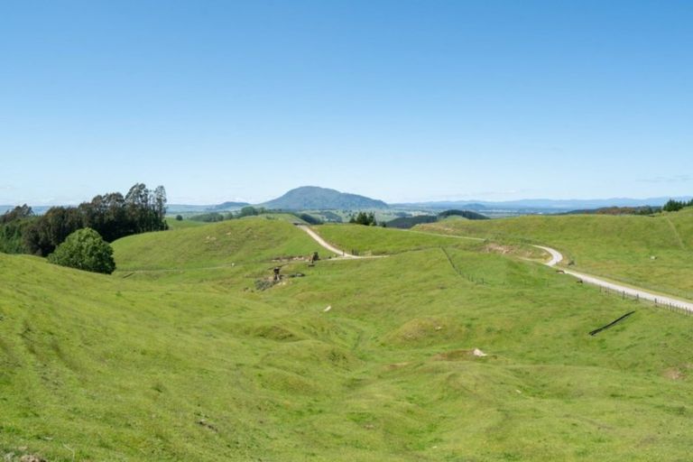 Photo of property in 483 Palmer Mill Road, Wairakei, Taupo, 3384