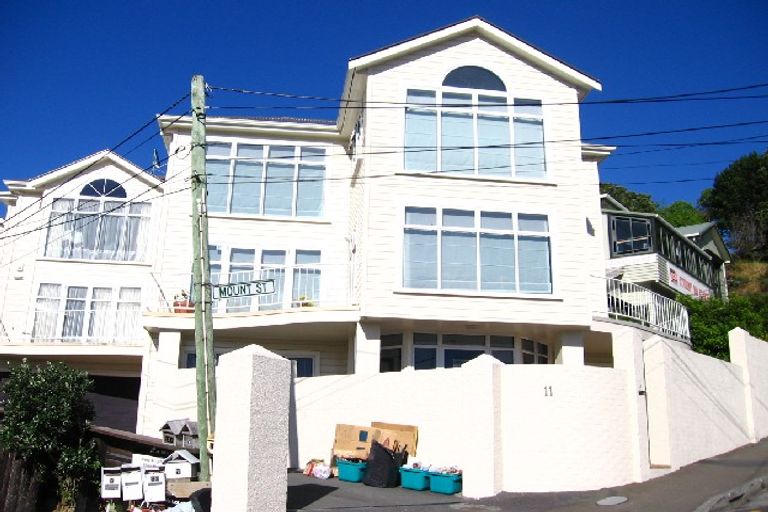 Photo of property in 11d Mount Street, Te Aro, Wellington, 6011