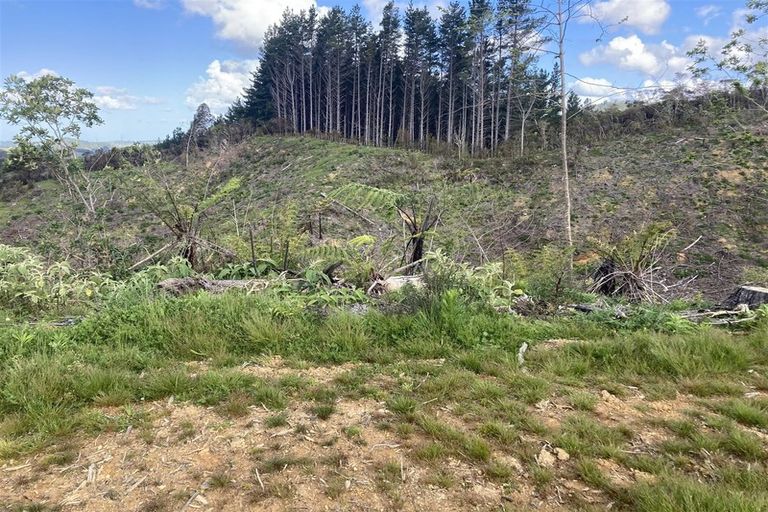 Photo of property in 1870 The 309 Road, Kaimarama, Whitianga, 3591