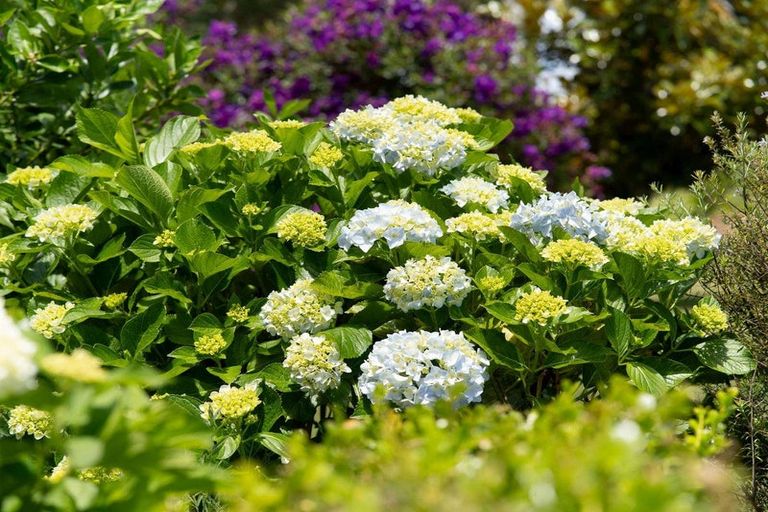 Photo of property in 44 Mission Road, Kerikeri, 0230