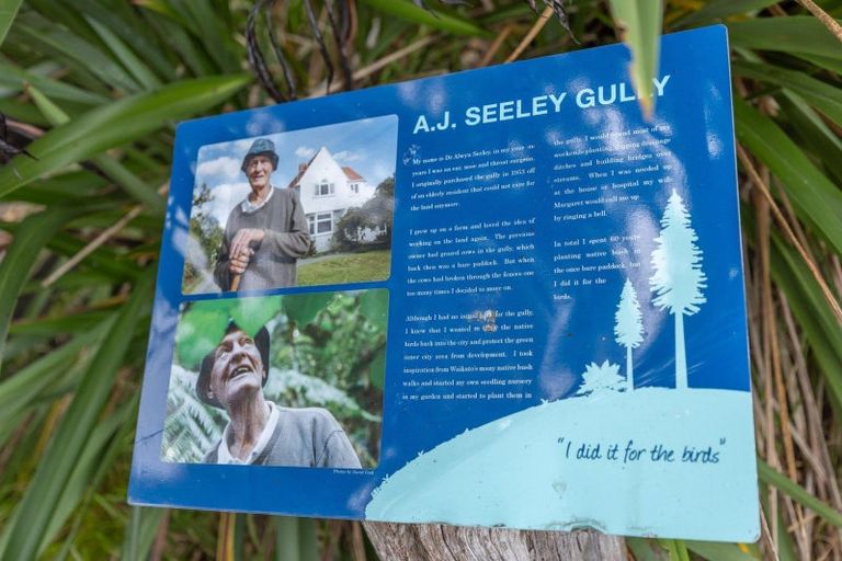 Photo of property in 9 Armagh Street, Hamilton East, Hamilton, 3216