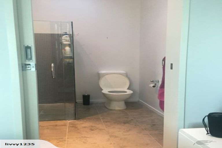 Photo of property in The Lofts, 44/185 Victoria Street, Te Aro, Wellington, 6011