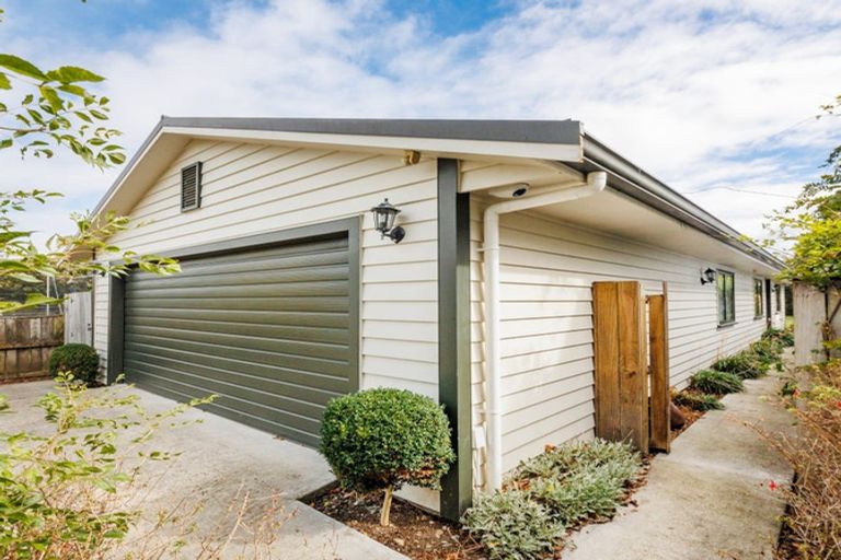 Photo of property in 47 Manson Street, Terrace End, Palmerston North, 4410