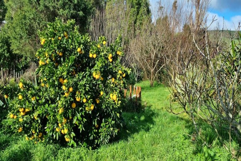 Photo of property in 52 Koheroa Road, Mercer, 2474