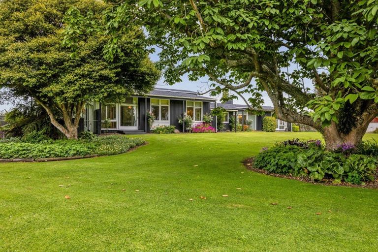 Photo of property in 41 Suther Street, Waverley, 4510