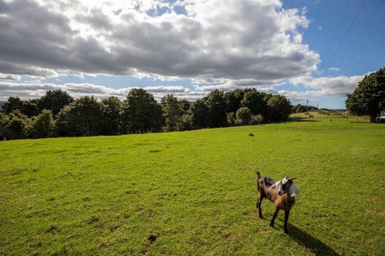 Photo of property in 132 Gibbs Road, Whakapara, Hikurangi, 0182