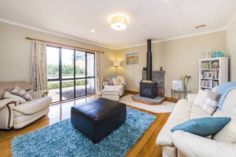 Photo of property in 294 Polson Hill Drive, Aokautere, Palmerston North, 4471