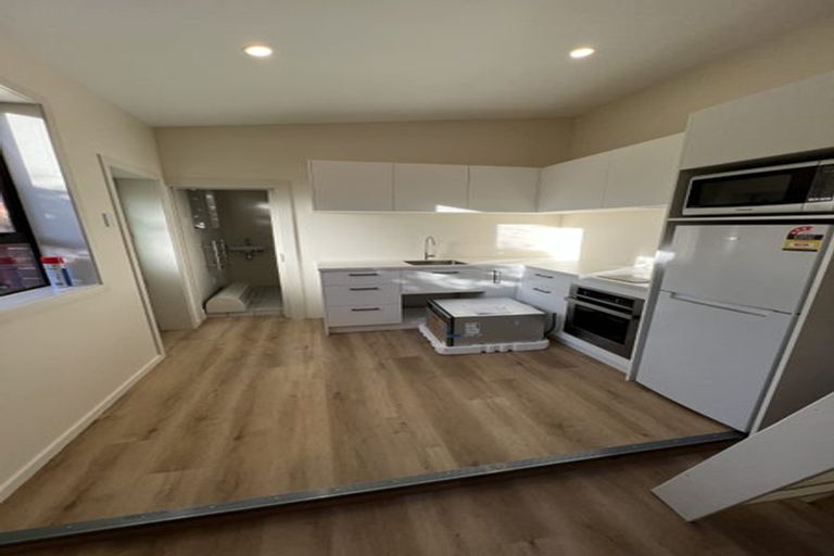 Photo of property in 45 Scarba Street, Roslyn, Dunedin, 9010