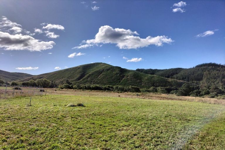 Photo of property in 17 William Dale Place, Wakefield, 7025