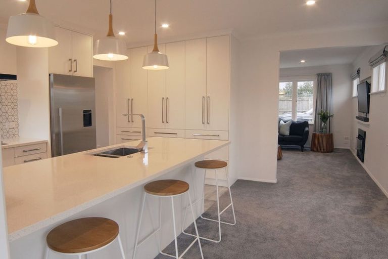 Photo of property in 24b Manson Street, Terrace End, Palmerston North, 4410