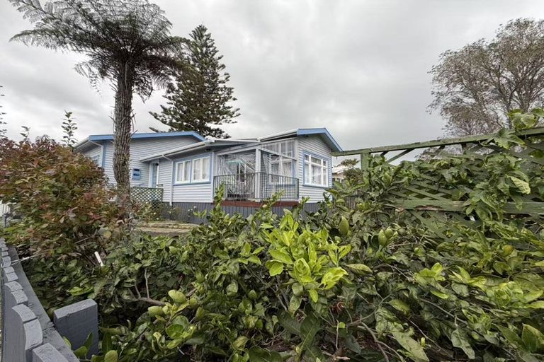 Photo of property in 8 Nikau Street, New Lynn, Auckland, 0600
