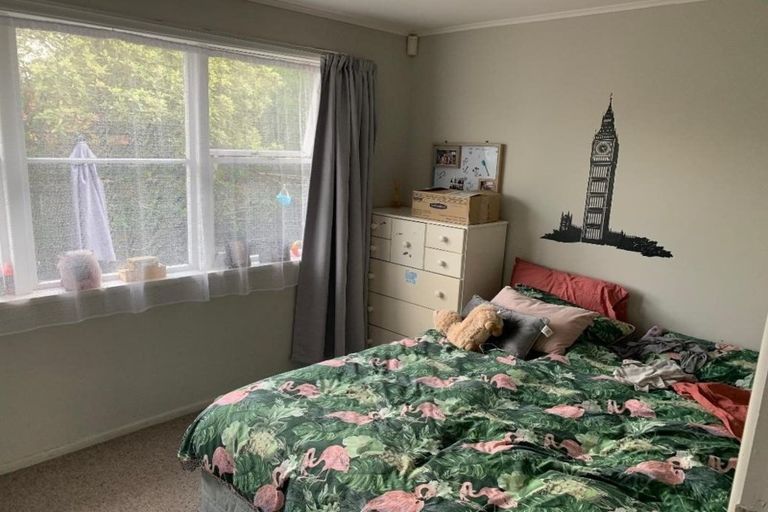 Photo of property in 28 Johnsview Terrace, Hillcrest, Hamilton, 3216