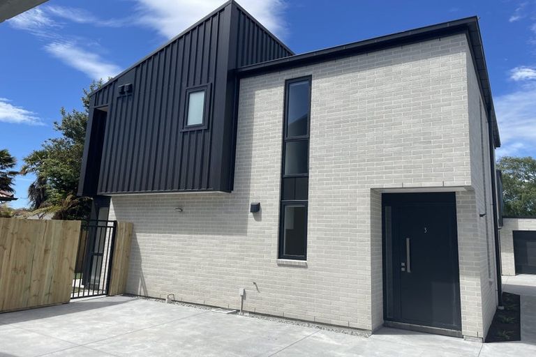 Photo of property in 3/46 Roker Street, Somerfield, Christchurch, 8024