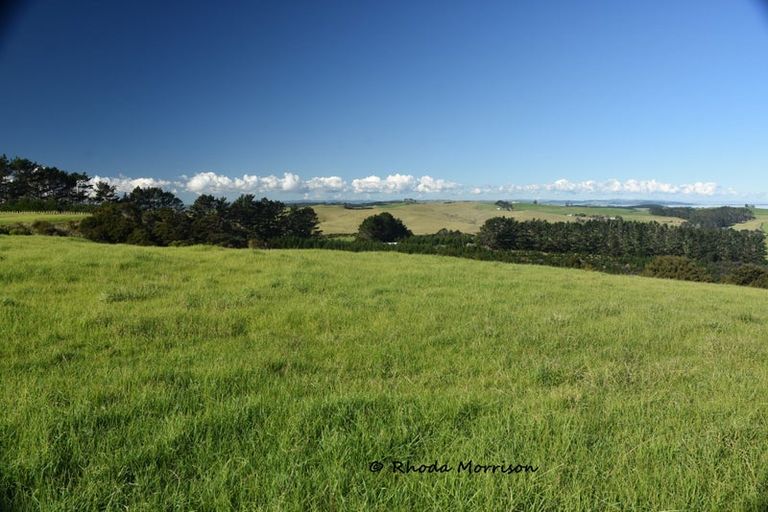 Photo of property in 986 Tinopai Road, Tinopai, Matakohe, 0593