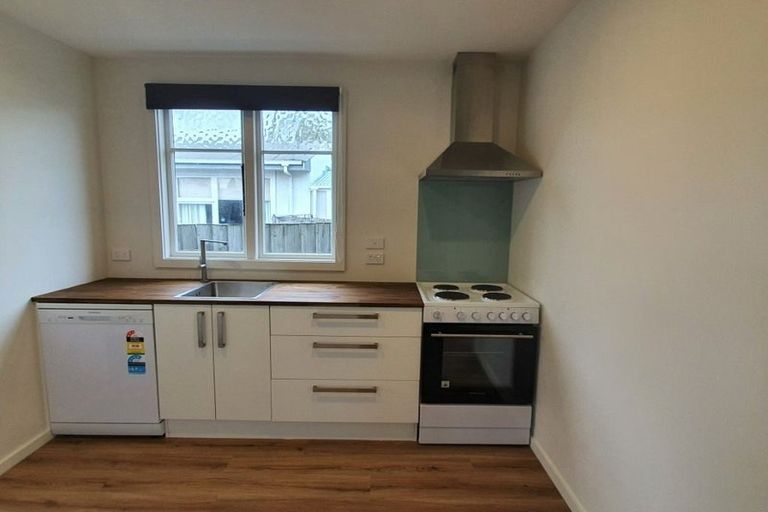 Photo of property in 25 Buccleugh Street, Phillipstown, Christchurch, 8011