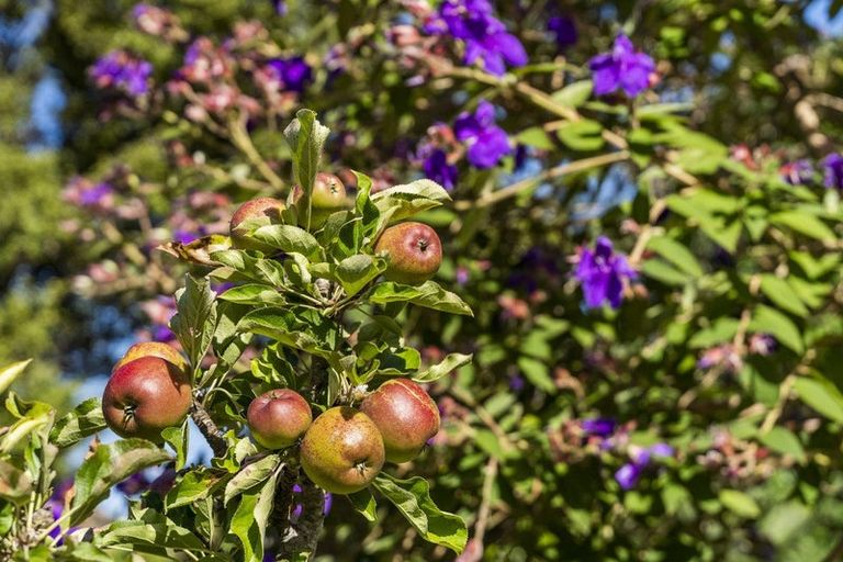 Photo of property in 2/26 Otanerua Road, Hatfields Beach, Orewa, 0931