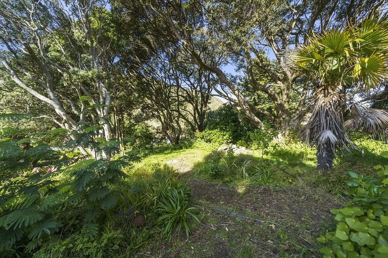 Photo of property in 45 Wellington Road, Paekakariki, 5034
