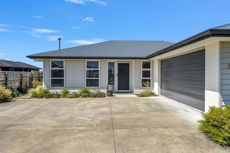 Photo of property in 17 Morrell Street, Tawhero, Whanganui, 4501