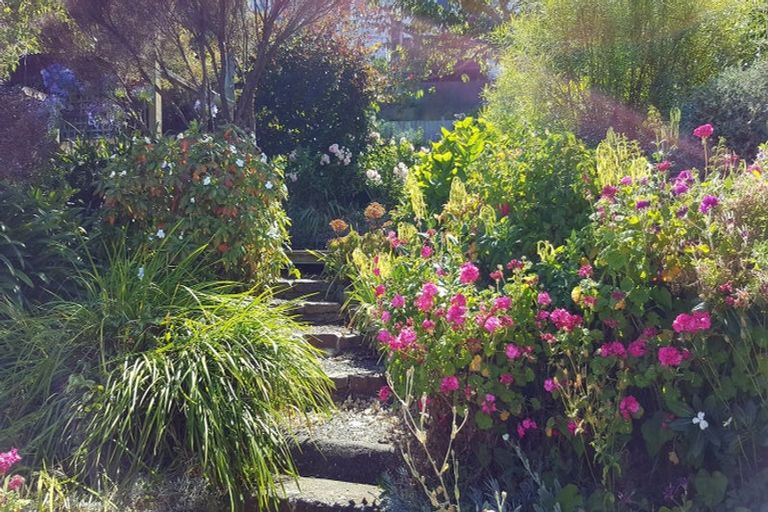 Photo of property in 102 Wallace Street, Mount Cook, Wellington, 6021