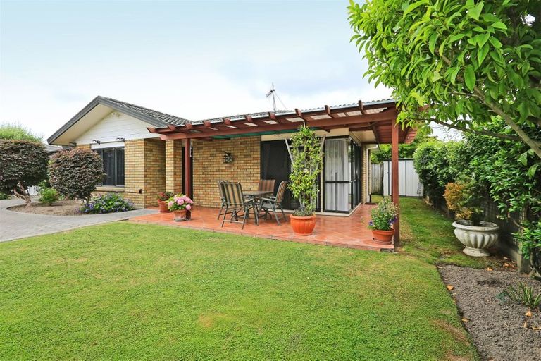 Photo of property in 3/506 Nelson Street North, Hastings, 4122