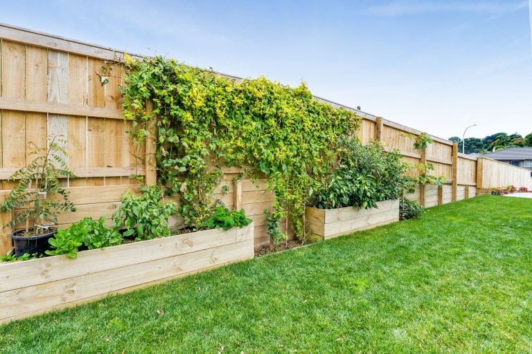 Photo of property in 51 Magnolia Drive, Westown, New Plymouth, 4310