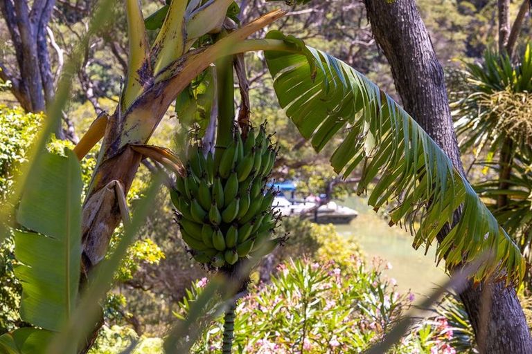 Photo of property in 165 North Cove, Kawau Island, 0920