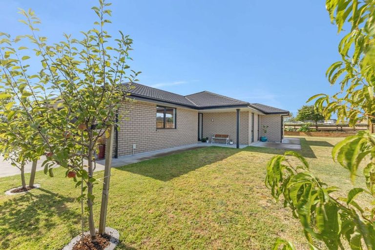 Photo of property in 2 Atutahi Street, Hurdon, New Plymouth, 4310