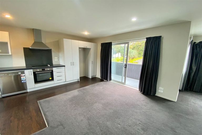 Photo of property in 524e Tuam Street, Phillipstown, Christchurch, 8011