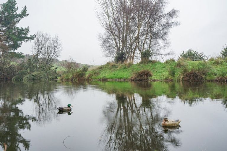 Photo of property in 243 Island Edendale Road, Menzies Ferry, Wyndham, 9891