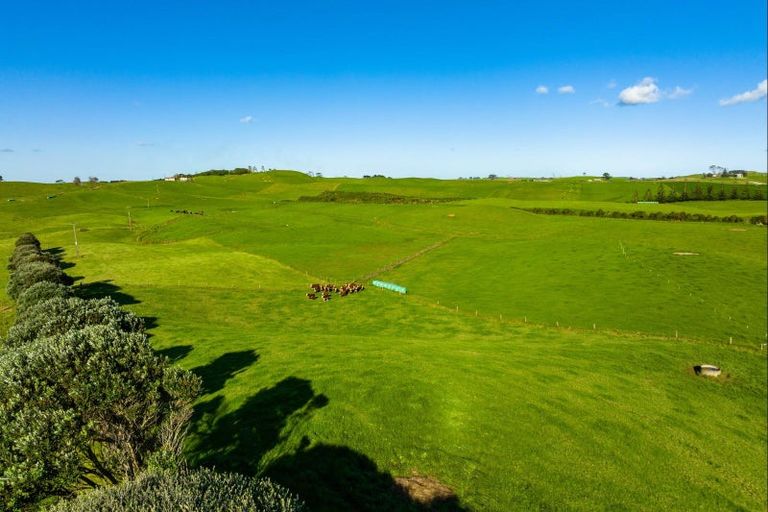 Photo of property in 1000 Redhill Road, Te Kopuru, Dargaville, 0371