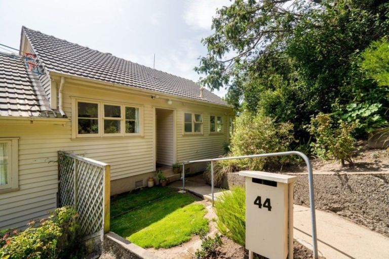 Photo of property in 44 Waimea Avenue, Calton Hill, Dunedin, 9012