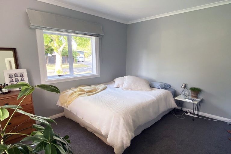 Photo of property in 305 Leo Street, Akina, Hastings, 4122