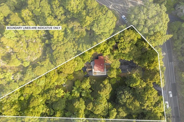 Photo of property in 110 Piha Road, Piha, New Lynn, 0772