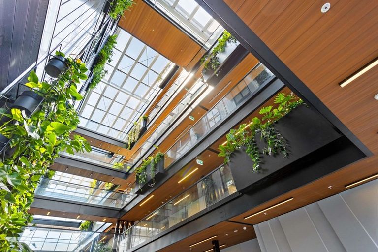 Photo of property in The Victor, 504/4 Bute Road, Browns Bay, Auckland, 0630