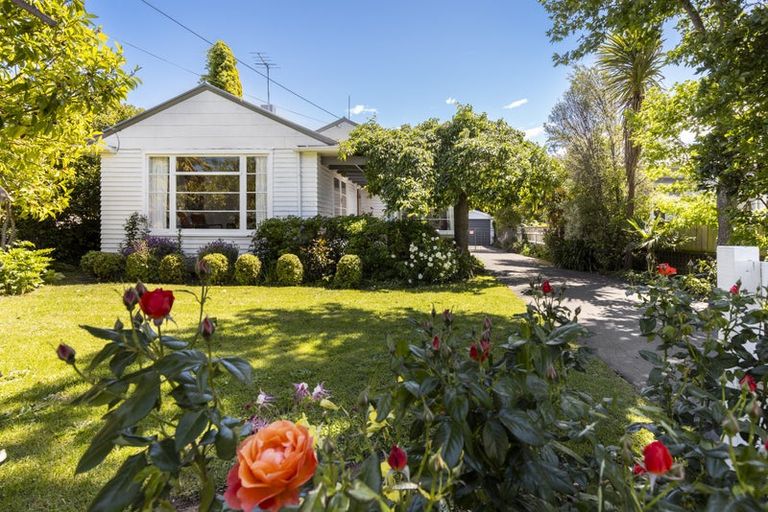 Photo of property in 18a Percy Street, Blenheim, 7201