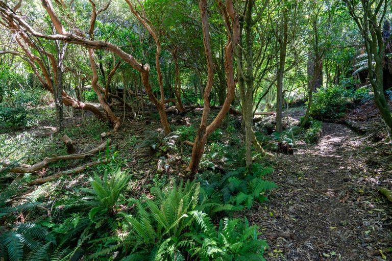 Photo of property in 6 Hawk Lane, Saint Leonards, Dunedin, 9022