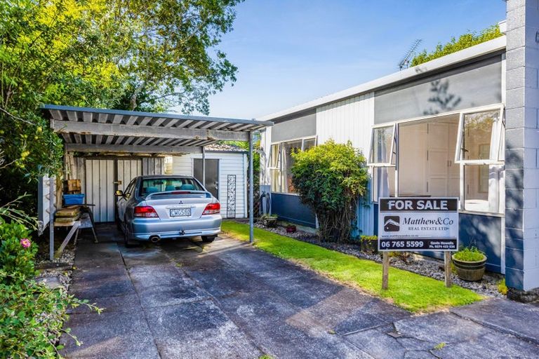 Photo of property in 113 Lemon Street, New Plymouth, 4312