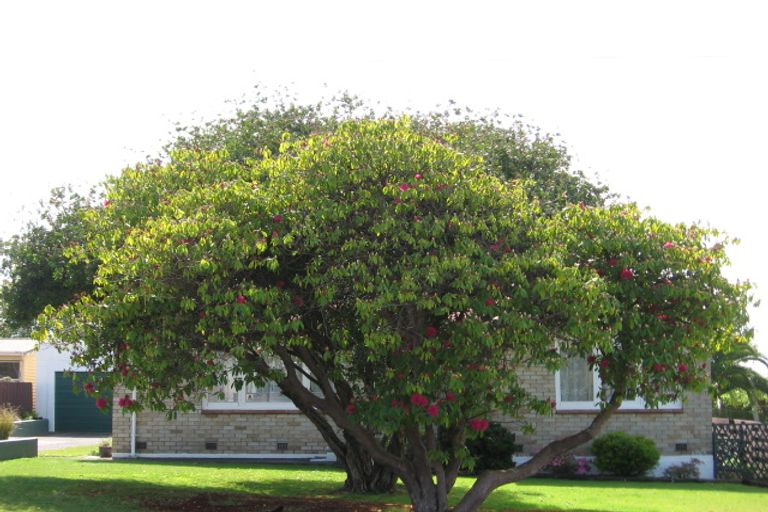 Photo of property in 9 Upland Road, Western Heights, Rotorua, 3015