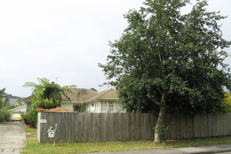 Photo of property in 45 Black Beech Street, Birchville, Upper Hutt, 5018