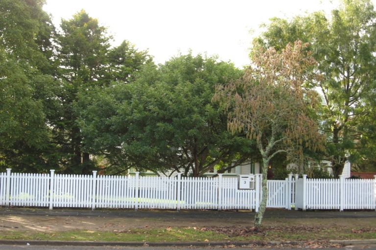 Photo of property in 3 Young Street, Claudelands, Hamilton, 3214