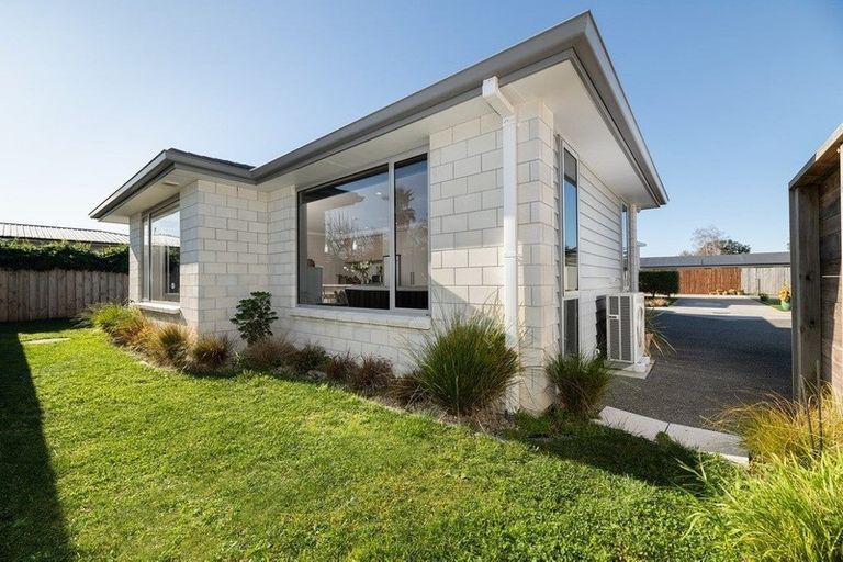 Photo of property in 50c Sixteenth Avenue, Tauranga South, Tauranga, 3112
