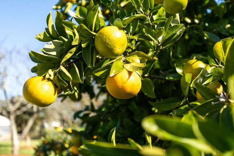 Photo of property in 67 Puke Road, Paeroa, 3600