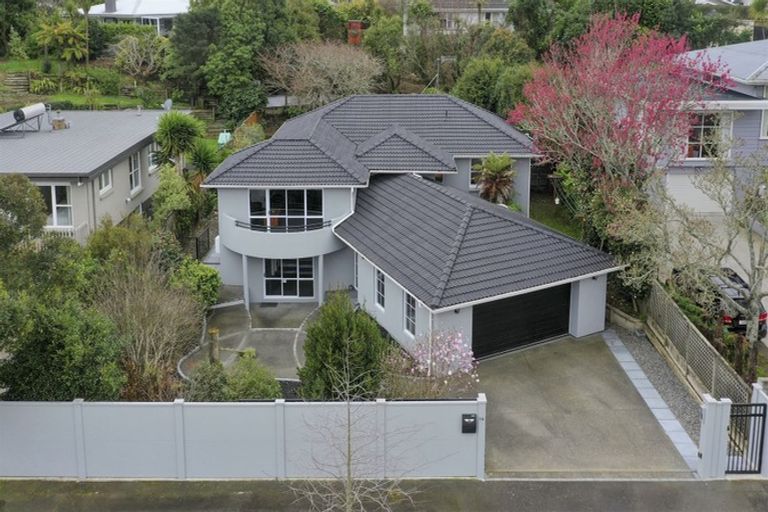 Photo of property in 14 Riverview Terrace, Fairfield, Hamilton, 3214