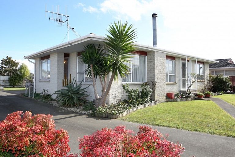 Photo of property in 81 Riverbend Road, Onekawa, Napier, 4110