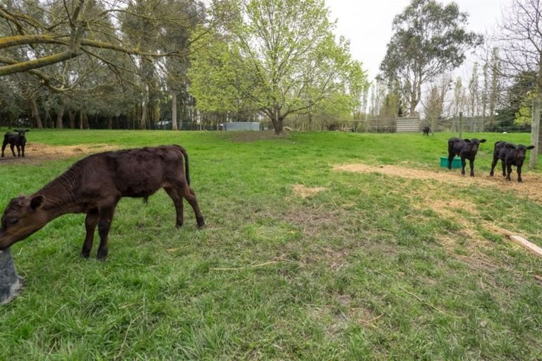 Photo of property in 137 Smithfield Road, Elgin, Ashburton, 7772