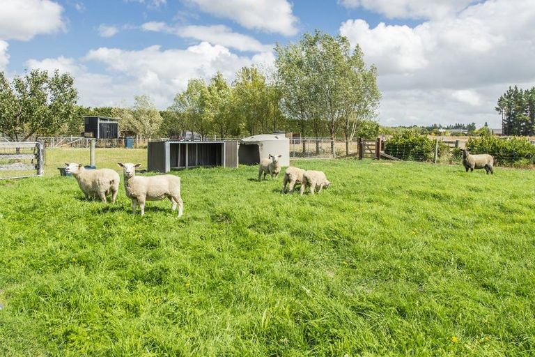 Photo of property in 17 Friars Lane, Leeston, 7632