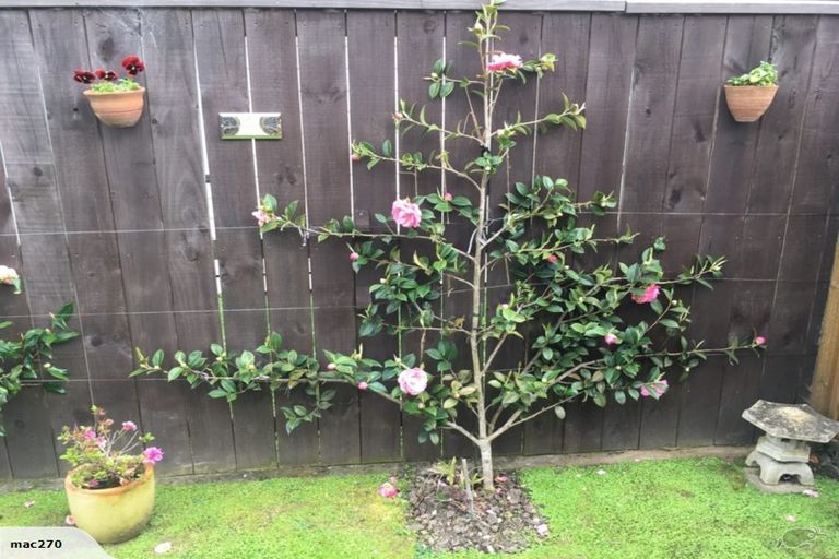 Photo of property in 3/152 Milton Street, The Wood, Nelson, 7010