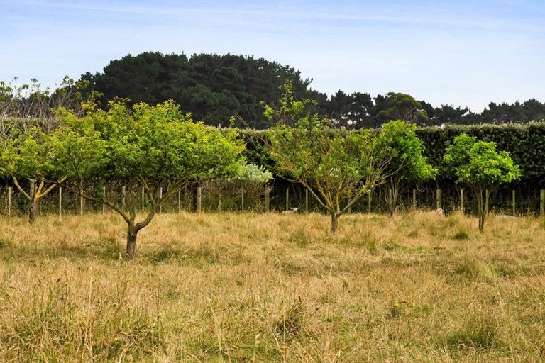 Photo of property in 1048 Normanby Road, Manaia, Hawera, 4678